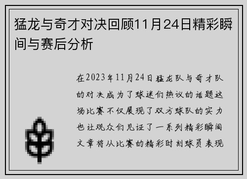 猛龙与奇才对决回顾11月24日精彩瞬间与赛后分析